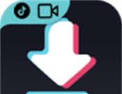 抖音下载器图标