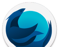 Iceraven浏览器logo图