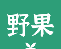 野果阅读logo图