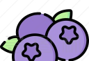 蓝莓音乐logo图