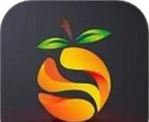 南果视频播放器logo图