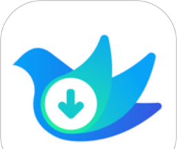 视频下载鸟图标