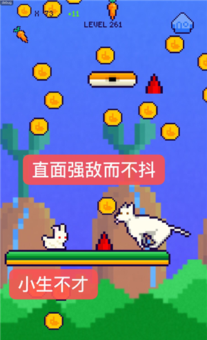 恩爱兔