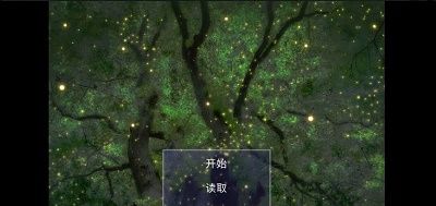 维洛卡之地