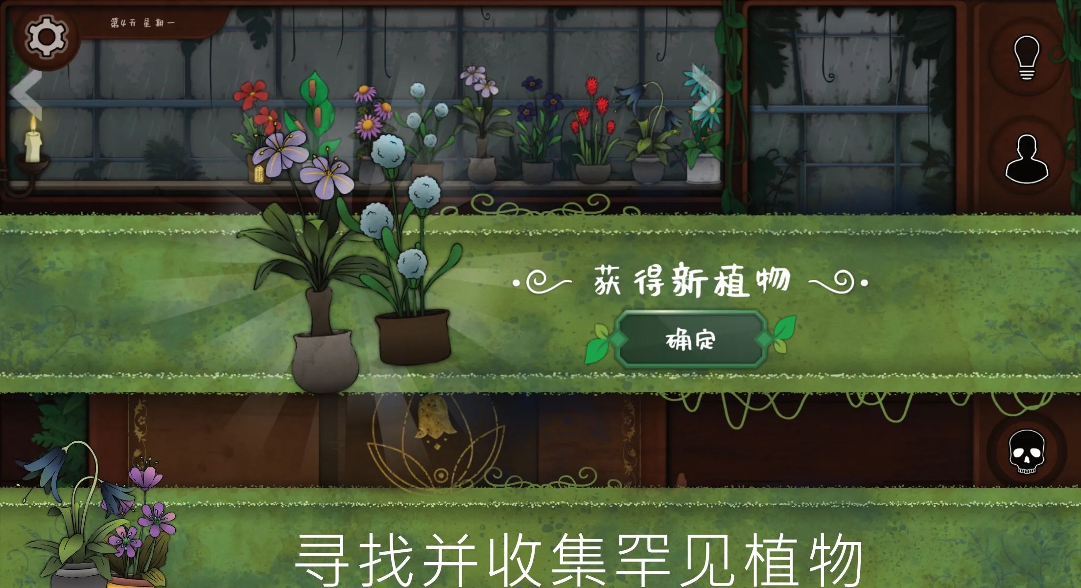 奇异园艺