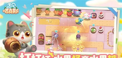 遇见喵克斯