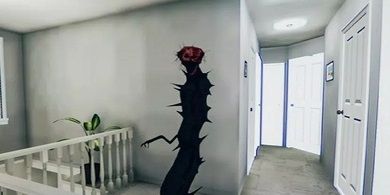 煮沸者