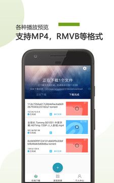 BT下载助手