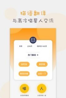 猫语猫咪翻译器