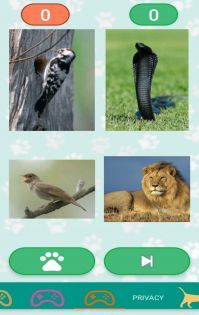 爱尼莫动物声音模拟