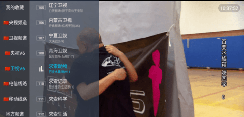 老头乐电视