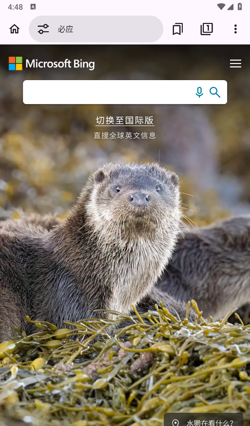 EX浏览器