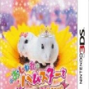 与漂亮的仓鼠一起生活共同外出