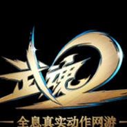 武魂2