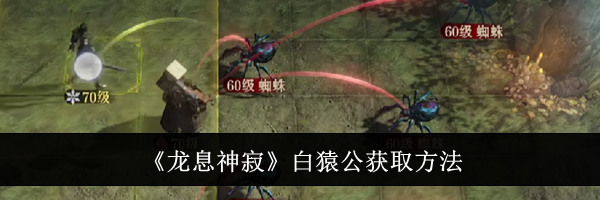 《龙息神寂》白猿公获取方法