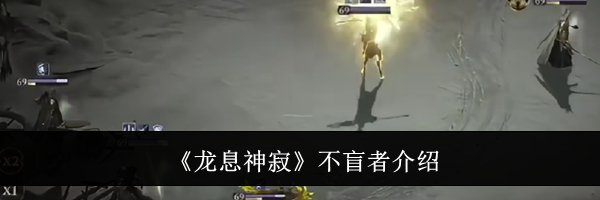 《龙息神寂》不盲者介绍
