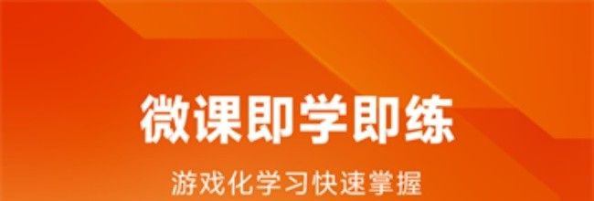 编程狮手机版VIP会员和终身VIP会员区别