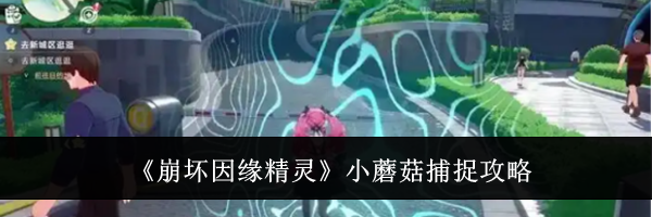 《崩坏因缘精灵》小蘑菇捕捉攻略