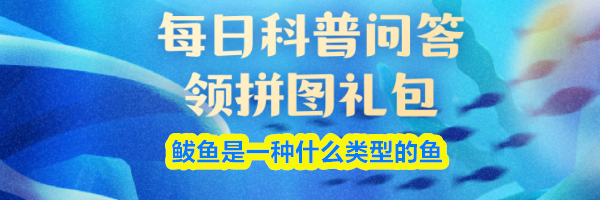 鲅鱼是一种什么类型的鱼