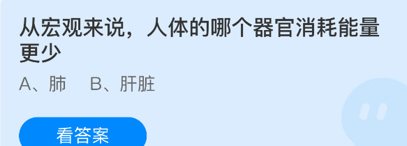 从宏观来说人体的哪个器官消耗能量更少