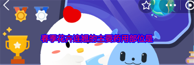 春季花卉连翘的主要药用部位是