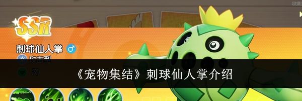 《宠物集结》刺球仙人掌介绍