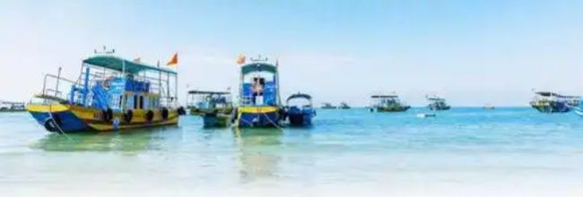 船讯网app微档案查看方法