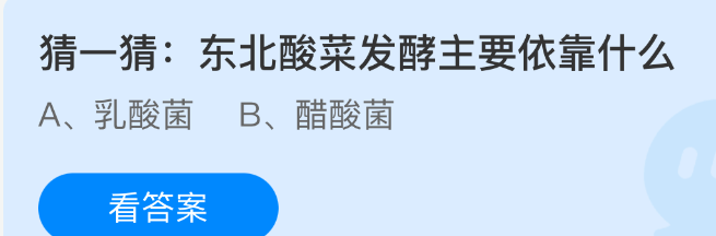 猜一猜东北酸菜发酵主要依靠什么