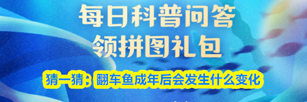 猜一猜:翻车鱼成年后会发生什么变化