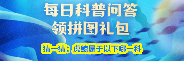 猜一猜虎鲸属于以下哪一科