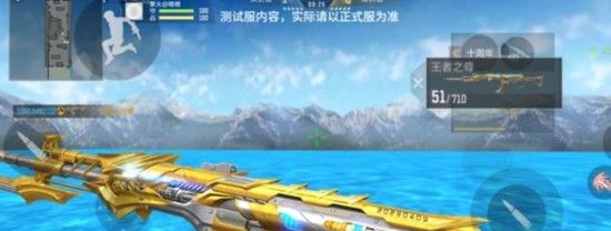 《穿越火线：枪战王者》王者81介绍