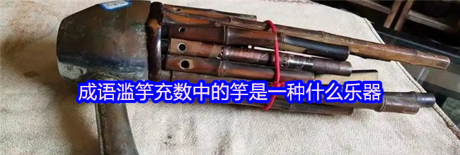 成语滥竽充数中的竽是一种什么乐器