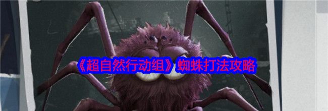《超自然行动组》蜘蛛打法攻略