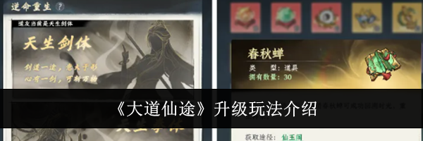 《大道仙途》升级玩法介绍