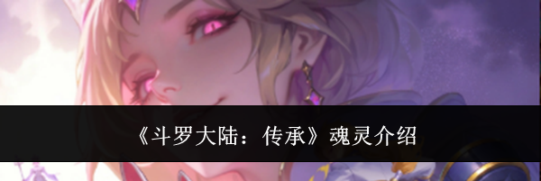 《斗罗大陆:传承》魂灵介绍