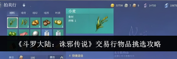 《斗罗大陆：诛邪传说》交易行物品挑选攻略