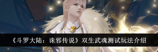 《斗罗大陆:诛邪传说》双生武魂测试玩法介绍
