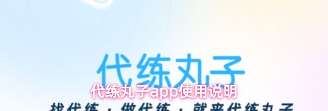 代练丸子app使用说明