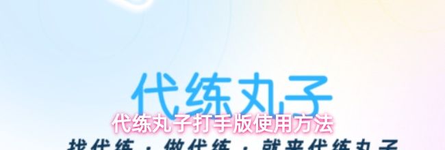 代练丸子打手版使用方法
