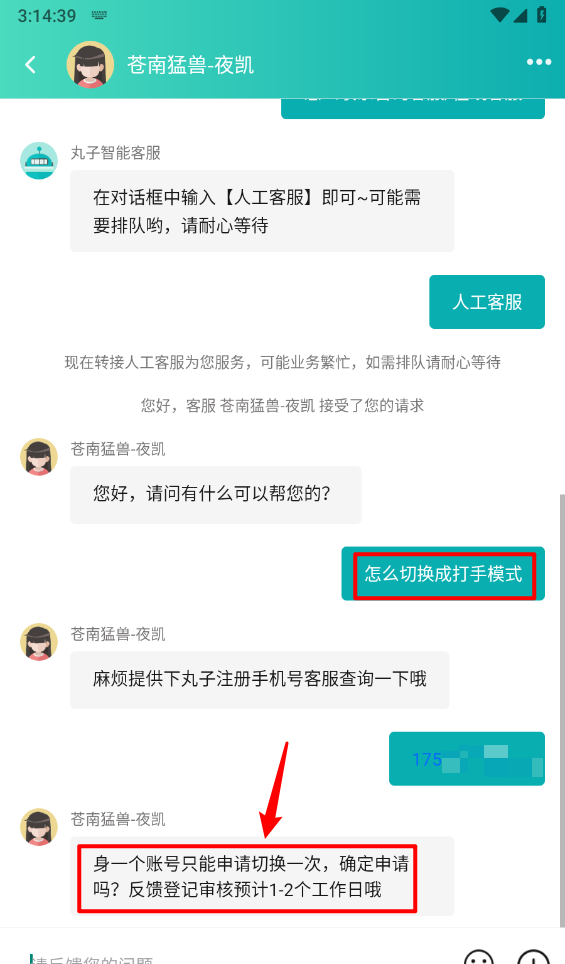 代练丸子打手模式切换方法