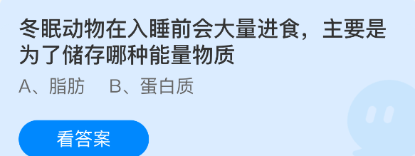 冬眠动物在入睡前会大量进食,主要是为了储存哪种能量物质