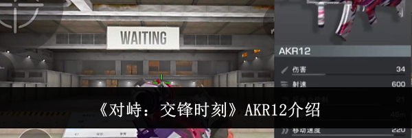 《对峙:交锋时刻》AKR12介绍