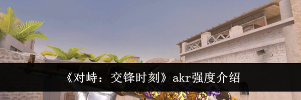 《对峙:交锋时刻》akr强度介绍