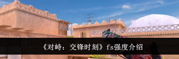 《对峙:交锋时刻》fs强度介绍