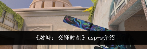 《对峙:交锋时刻》usp-s介绍