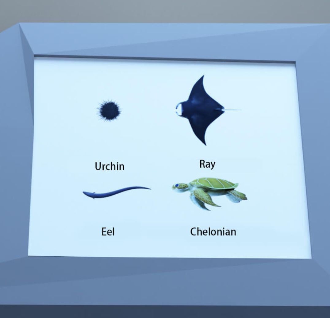 《Escape Room：圣诞节》水族馆通关攻略图文详情