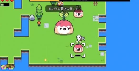 《浮岛冒险》甜菜精岛作用介绍
