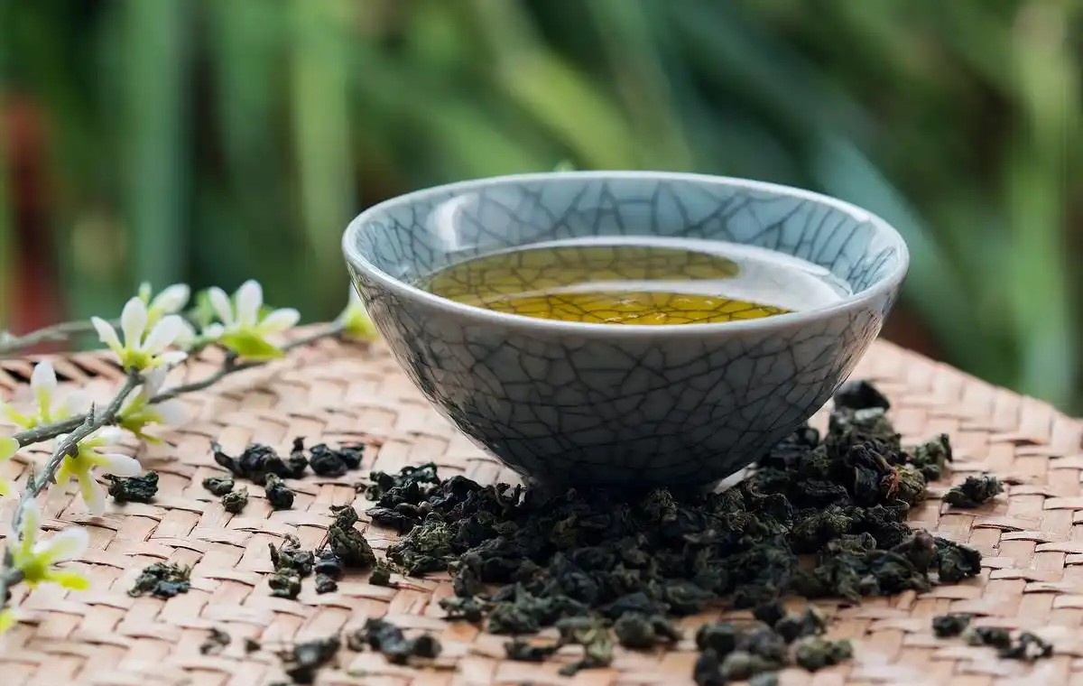 非遗小知识：广东潮州工夫茶以哪种茶为主要茶品