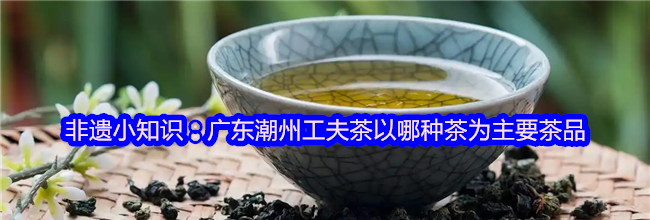 非遗小知识：广东潮州工夫茶以哪种茶为主要茶品