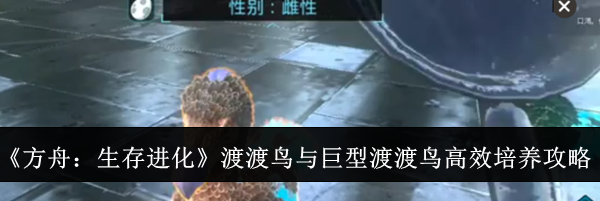 《方舟:生存进化》渡渡鸟与巨型渡渡鸟高效培养攻略